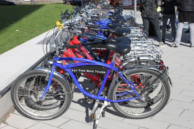 fat bike handlebars